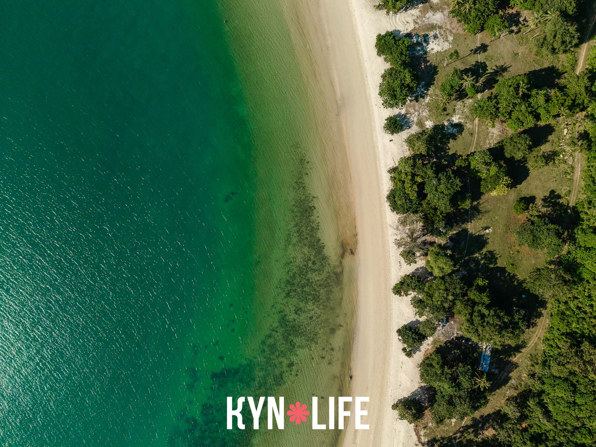 Beachline Paradise Beachline Paradise