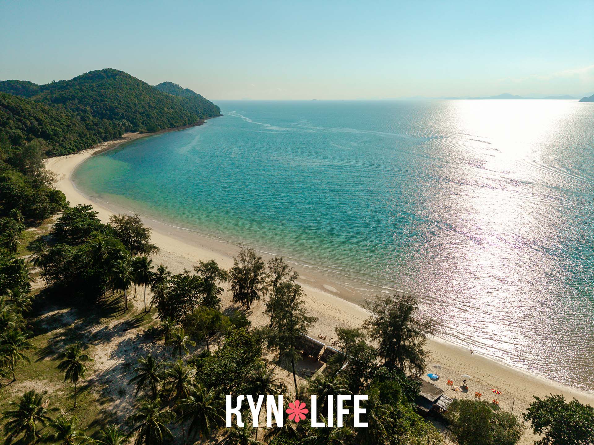 Beachline Paradise Beachline Paradise