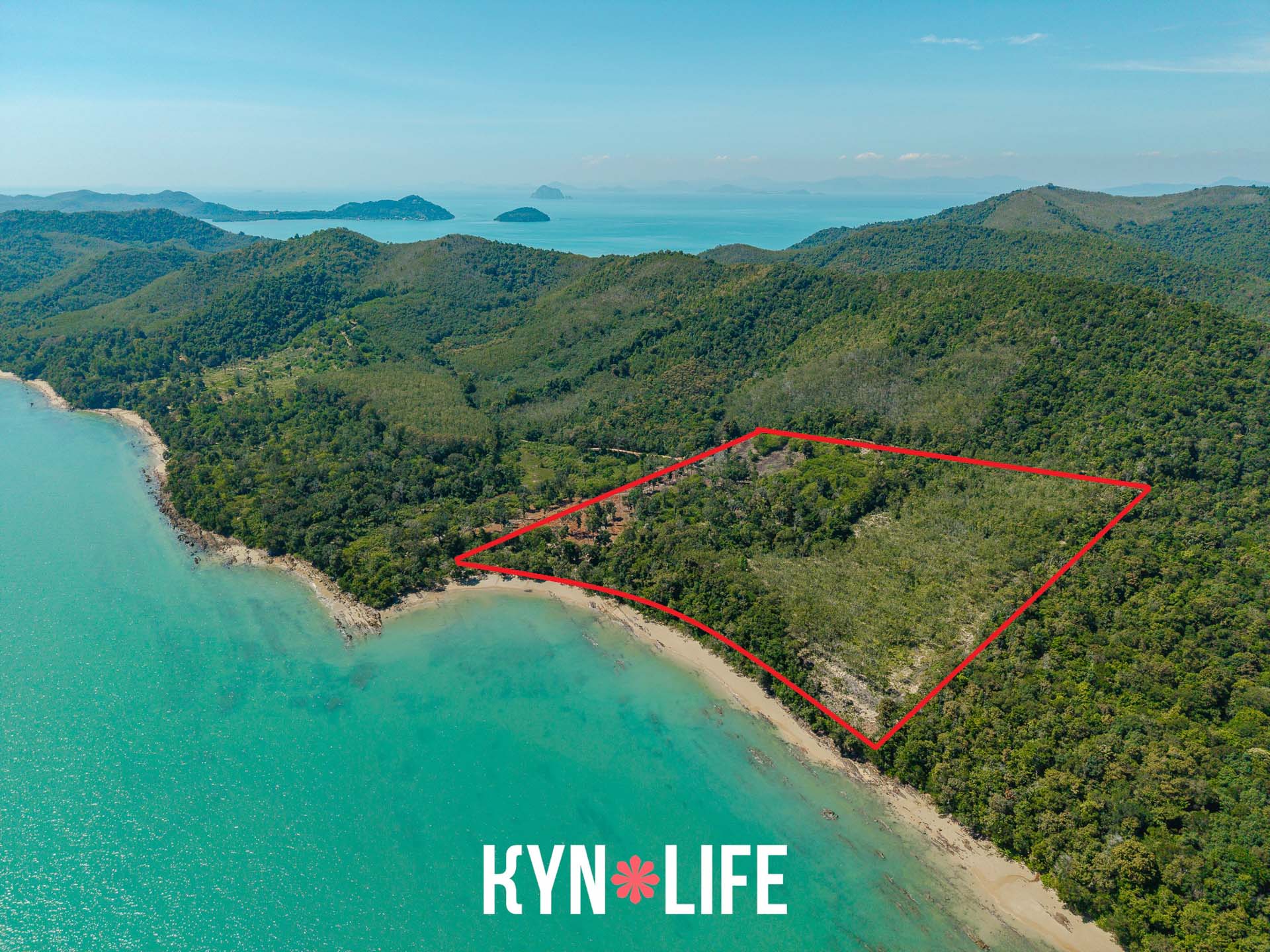 Saltwater Lot Saltwater Lot